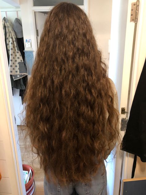 Hip Length Hair, Brown Hair Inspiration, Long Hairstyle, Wavy Curly Hair, Super Long Hair, Long Layered Hair, Long Wavy Hair, Hair Cut, Gorgeous Hair