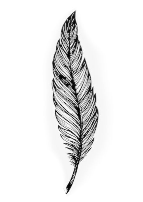 Feather Neck Tattoo, Feather Pen Tattoo, Leaf Tattoo Design, Female Drawings, Traditional Tattoo Flash Sheets, Hand Tatto, Feather With Birds Tattoo, Clock Drawings, Atlas Tattoo