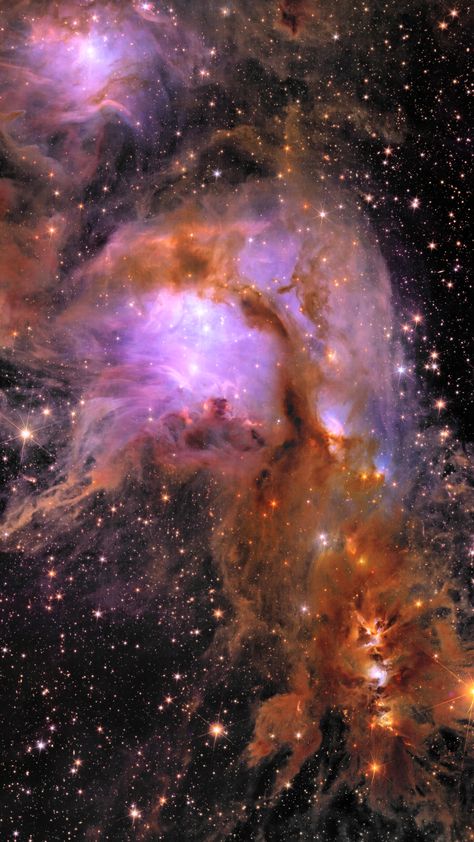 Scanning the Dark Universe, Euclid Finds Scenes of Cosmic Light Universe Pictures, Magic Universe, Dark Universe, European Space Agency, Space Scene, Telescope Images, Cosmos Space, Space Nebula, Aesthetic Galaxy