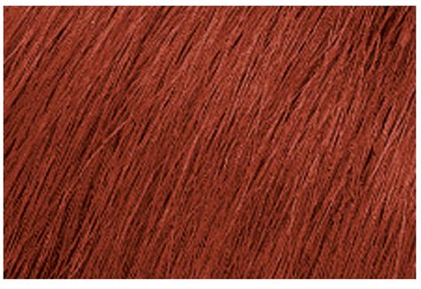 Matrix SoColor 6RC Light Brown Red Copper 3 oz Tube Brown Red Copper, Blonde Copper, Matrix Hair Color, Porous Hair, Matrix Hair, Hair Color Brands, At Home Hair Color, Red To Blonde, Level 7