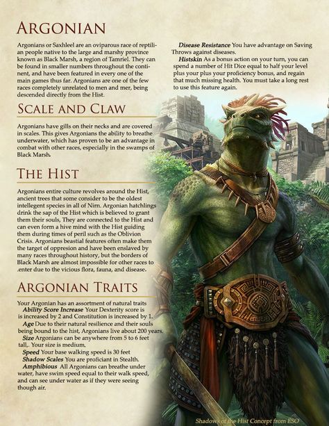 The Elder Scrolls Races in DnD Version 2  - Album on Imgur Skyrim Races, Elder Scrolls Races, 5e Races, Evelynn League Of Legends, Elder Scrolls Lore, Dungeons And Dragons Races, Elder Scrolls Games, Skyrim Art, Elder Scrolls Skyrim