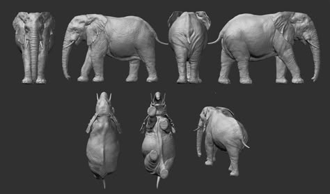 ArtStation - elephant, fumi nakai Elephant Anatomy, Geometric Shapes Drawing, Elephant Artwork, Elephant Print Art, Elephant Images, Elephant Carving, Human Figure Sketches, Anatomy Sculpture, Human Sculpture