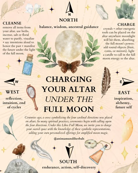 Herbs For Full Moon, Libra Full Moon, Moon Journal, Witch Spirituality, Full Moon Ritual, Energy Healing Spirituality, Herbal Magic, Herbs For Health, The Full Moon