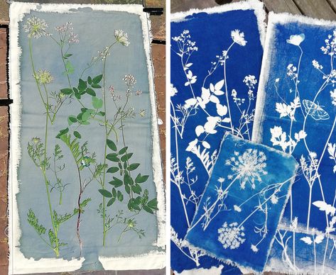 Diy Cyanotype, Cyanotype Artwork, Altered Photography, Allotment Garden, Plant Prints, Cyanotype Process, Dyed Flowers, Sun Prints, Alternative Photography