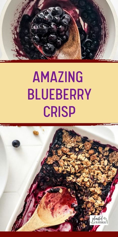 Blueberry crisp with granola is a perfect dessert for those who love the combination of sweet and crunchy textures. This delicious baked blueberry granola crisp recipe is made with fresh blueberries and topped with a crispy, golden-brown granola topping that is sure to satisfy any sweet tooth. Whether you're looking for a dessert to impress guests or simply want to indulge in something sweet and delicious, blueberry crisp with granola is the perfect choice. Gluten Free Blueberry Crisp, Blueberry Crisp Recipe, Blueberry Crisp, Savory Meals, Fruit Crisp, Blueberry Desserts, Blueberry Crumble, Easy Blueberry, Blueberry Recipes