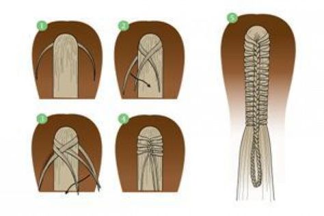 Horse Mane Braids, Horse Hair Braiding, Horse Braiding, Tail Braids, Healthy Horses, Horse Magazine, Horse Exercises, Horse Care Tips, Horse Clipping