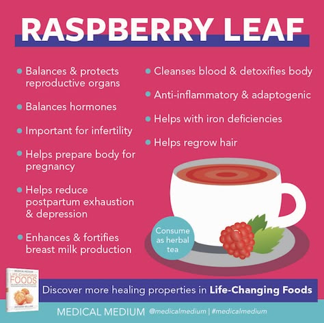 Medical Medium Blog: read Raspberry Leaf: Life-Changing Herb now at www.medicalmedium.com Rasberry Leaf Tea, Raspberry Leaf Tea Benefits, Anthony William Medical Medium, Liver Rescue, Medical Medium Recipes, Raspberry Leaf Tea, Pregnancy Help, Raspberry Tea, Raspberry Leaf