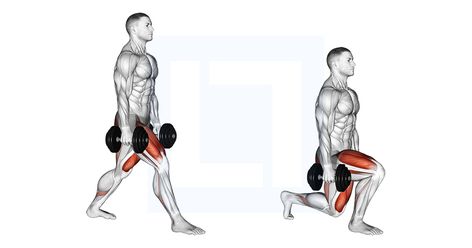 Dumbbell Split Squat, Squats Muscles Worked, Benefits Of Squats, Squat Form, Squat Variations, Bulgarian Split Squats, Quad Exercises, Goblet Squat, Split Squat