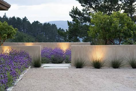 stuccoed walls, 1/4" crushed granite, reeds, lavender & lighting from "Landprints: the Landscape Designs of Bernard Trainor" Modern Garden Landscaping, Moderne Have, Lavender Garden, Modern Landscape Design, Modern Garden Design, Walled Garden, Have Inspiration, Contemporary Garden, Garden Pictures