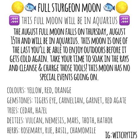 Sturgeon Moon 2024, Sturgeon Full Moon, Witchcraft Candle Magic, Sturgeon Moon, Moon Meaning, Moon In Aquarius, Moon In Leo, W.i.t.c.h Aesthetic, Full Moon Ritual