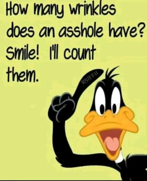 Pigs Quote, Duck Quotes, Funny Duck, Funny Quotes Sarcasm, Daffy Duck, Funny Cartoon Quotes, Funny Jokes For Adults, Sarcastic Quotes Funny, Cartoon Quotes