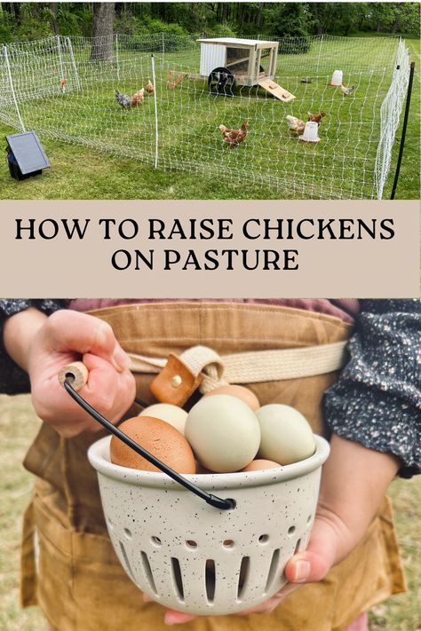 Pasture Chicken Coop, Chicken Free Range Ideas, Chicken Pasture Ideas, Pasture Raised Chickens, Free Range Chicken Coop Ideas, Pasture Chickens, Chicken Pasture, Free Range Chickens Coop, Raising Livestock