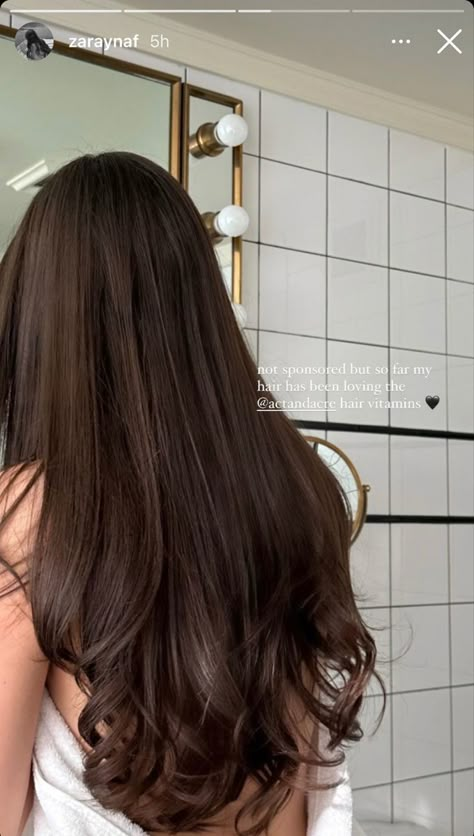 Healthy Hair Aesthetic, Hair Motivation, Brown Hair Inspo, Hairstyles For Layered Hair, Hair Aesthetic, Long Brown Hair, Beautiful Long Hair, Hair Inspo Color, Light Brown Hair