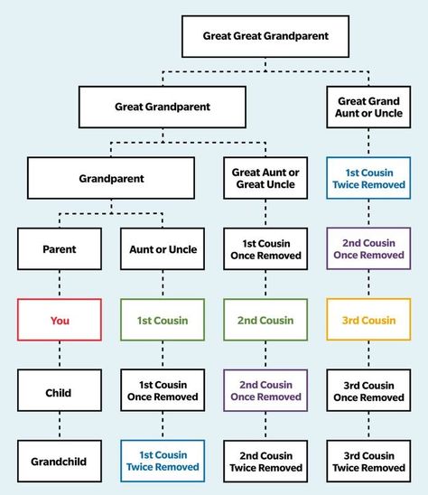 Second Cousin vs. Second Cousin Once Removed—Cousin Chart Second Cousin Chart, Cousins Chart, Cousin Chart, Cousin Relationships, Quick View Bible, November Quotes, Relationship Chart, Genealogy Websites, Second Cousin