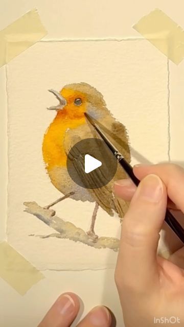 Rebecca Rogers on Instagram: "Full process painting a little watercolour robin  #watercolour #watercolorprocess #birdpainting #watercolor #watercolourtutorial" Robin Watercolour Painting, Robin Watercolour, Watercolour Robin, Process Painting, Watercolor Birds, Art Study, Watercolour Inspiration, Robin Bird, Watercolour Tutorials