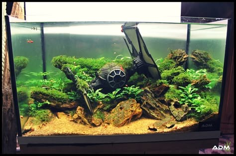 Star Wars Themed Fish Tanks/Vivariums Are The Newest Trend - NERDBOT Starwars Fish Tanks, Dinosaur Aquarium, Fish Tank Themes Ideas, Paludarium Ideas, Fiddler Crab, Fish Tank Themes, Tv Wallpaper, Amazing Aquariums, Fish Tank Terrarium