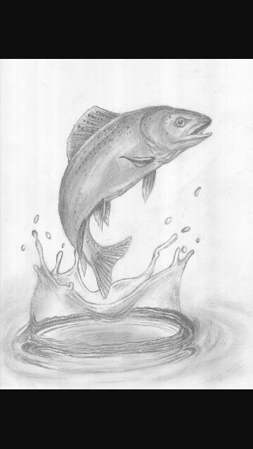 Fish Jumping Out Of Water, How To Draw Fish, Water Sketch, Fish Outline, Drawn Fish, Pencil Drawings Of Animals, Drawing Ideas List, Water Drawing, Fish Drawings