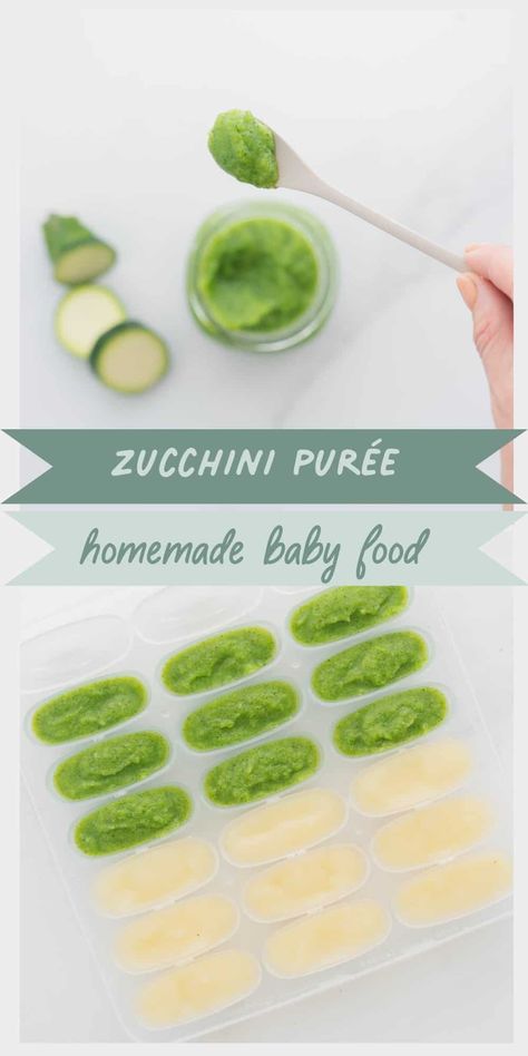 Zucchini puree is a simple green vegetable baby food, which can be served as a first food on its own or combined with other purees. Zucchini Baby Food, Zucchini Puree, Sage Spoonfuls, Apple Zucchini, Baby Food Recipes Stage 1, Baby Food Recipe, Making Baby Food, Diy Baby Food, Baby & Toddler Food