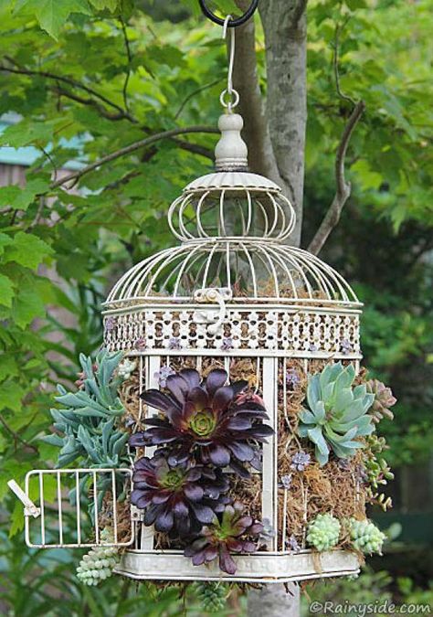 Cage d'oiseau jardin vertical.16 idées de décorations splendides avec des cages d'oiseaux Birdcage Planter, Kaktus Dan Sukulen, Bird Cage Decor, Garden Sculptures, Whimsical Fairy, Garden Containers, Garden Art Projects, Magical Garden, Charming Garden