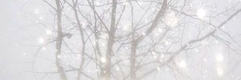 Snow Banner Twitter, Angelcore Banner Discord, Coquette Winter Header, Winter Twt Header, White Widgets Long, Snow Banner Discord, Winter Banner Discord, Grace Foster Crave, Angelcore Header