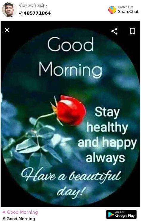 #🌞 Good Morning🌞 👇👇👇 https://sharechat.com/post/DyyjKO4G?d=n Sharechat - Best and Only Indian Social Network - Download Now👇👇👇 👉 https://sharechat.com?d=n Good Morning Wishes Latest, Good Morning Rose Images, Good Morning Clips, Quotes To Start Your Day, Latest Good Morning Images, Good Morning Massage, Good Morning Dear Friend, Quotes Morning, Good Morning Happy Monday