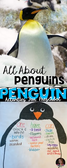 Preschool Penguin Activities, Preschool Penguin, Penguins Kindergarten, Penguin Crafts Preschool, Polar Activities, Penguin Preschool, Penguin Facts, All About Penguins, Penguin Activities