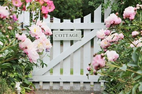 Garden Gates And Fencing, Country Cottage Garden, Cottage Rose, Flower Cottage, Pink Cottage, Cottage Garden Design, Cottage Garden Plants, Rose Trees, Pink Garden