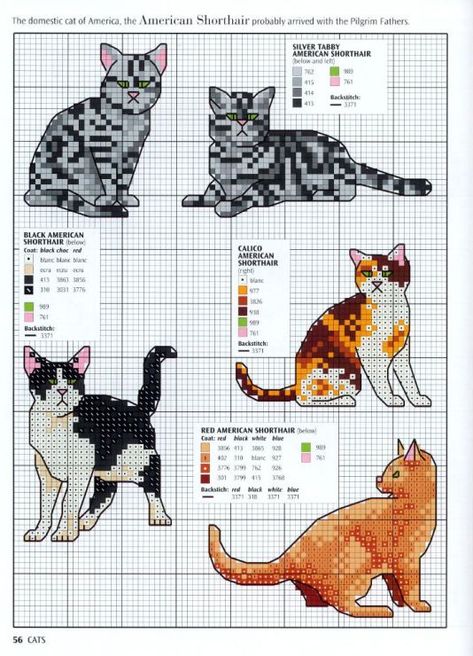 Cat Cross Stitch Charts, Cats Cross Stitch, Cross Stitch Cats, Cat Cross Stitches, Unique Cross Stitch, Cat Cross Stitch Pattern, Animal Cross Stitch Patterns, Cross Stitch Supplies, Pola Kristik