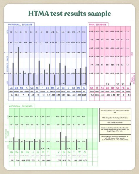 Hair Tissue Mineral Analysis Test (HTMA) • Organically Becca Health Blog Ideas, Metabolic Type, Planning To Get Pregnant, Hair Test, Increase Hair Growth, Wellness Studio, Nutritional Therapy, Hair Control, Heavy Metals