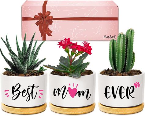 Cute Plant Pots, Garden Gift Ideas, Christmas Gifts Unique, Best Mum Ever, Pink Packaging, Presents For Grandma, Best Wife Ever, Granny Gifts, Presents For Wife