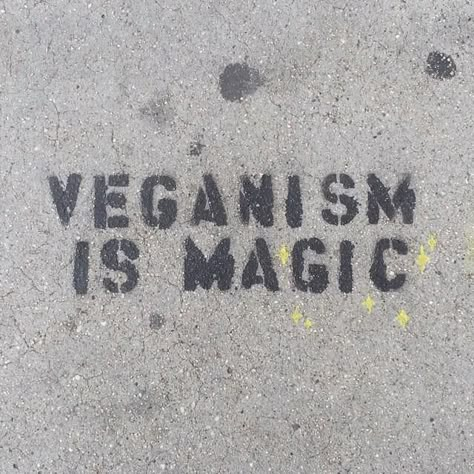 SPOTTED in #LA: #Vegan #StreetArt reminding people that #VeganismIsMagic Vegetarian Quotes, Vegan Vibes, Vegan Tattoo, Animal Activism, Vegan Quotes, Why Vegan, Vegan Inspiration, Vegan Meal Plans, Vegan Life