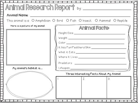 Free animal project poster printable<---could be a fun summer project! 1st Grade Animal Research Project, 1st Grade Research Project, 3rd Grade Animal Research Project, Animal Research Graphic Organizer, Zoo Animal Unit Study, Animal Research Projects For Kids Free, Animal Research, Animal Research Project, Animal Report Template