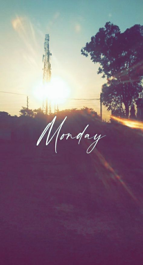 #monday #hrawate9 #snaps Monday Snapchat Stories, Monday Snap, Dog Logo Design, Circle Mehndi, Night Sky Photography, Snapchat Streak, Circle Mehndi Designs, Snap Streak, Snap Chat