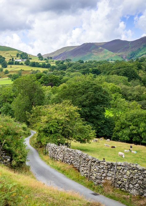 🇬🇧 Newlands (Lake District, Cumbria, England) by Bob Radlinski cr. Country Landscape Photography, England Countryside, Lake District England, Country Landscape, Landscape Designs, British Countryside, Stone Walls, Country Landscaping, Winding Road