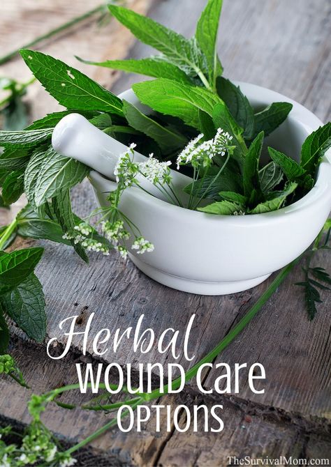 More advanced information for taking your herbal medical knowledge to a higher level. Herbal Apothecary, Natural Healing Remedies, Herbal Healing, Holistic Remedies, Cold Home Remedies, Wound Care, Medical Knowledge, Wound Healing, Healing Herbs