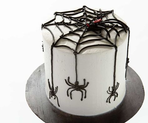 Add some edible spiders and buttercream frosting to make this Spider Cake everybody's treat on Halloween! #spidercake #chocolatecake #halloweentreats #desserts #baking #iambaker #homemadewhippedbuttercream #chocolatebuttercream #homemadebuttercream #halloweencake #decorativecakes Spider Cake Design, Chocolate Spider Cake, Edible Spiders, Draw Spider Web, Halloween Chocolate Cake, Spiderweb Cake, Vampire Birthday, Draw Spider, Scary Halloween Cakes