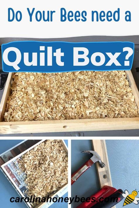 Learn how to make a quilt box for your Winter beehives. Making a quilt box for your beehives can help the colonies avoid problems with excess moisture. Easy and economical to build. Building Bee Boxes, Bee Boxes Diy, Bee Box Plans, Repurposed Bee Boxes, Small Space Beekeeping, Honey Bee Box, Apiary Beekeeping, Painted Bee Hives, Backyard Beehive