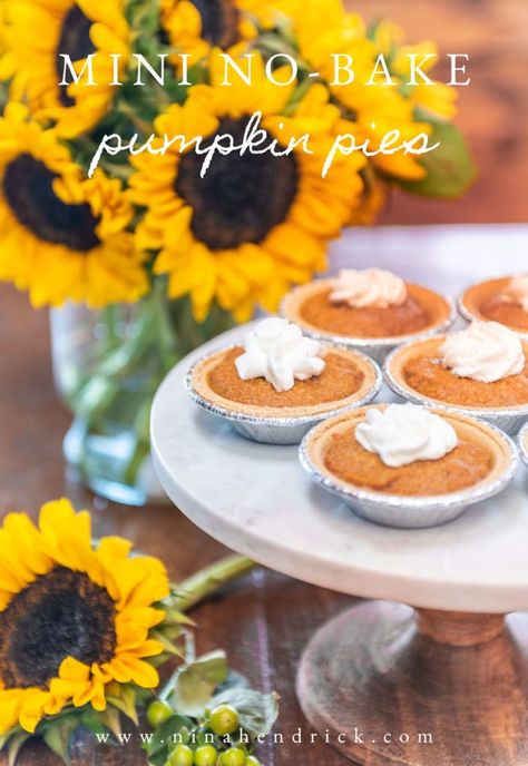 Mini No-Bake Pumpkin Pies | Nina Hendrick Design Co. Fall Baking Apples, Traditional Pumpkin Pie, Mini Pie Crust, No Bake Pumpkin, Bake Pumpkin, Easy Holiday Desserts, Graham Cracker Crust Pie, Pie Filling Recipes, No Bake Pumpkin Pie