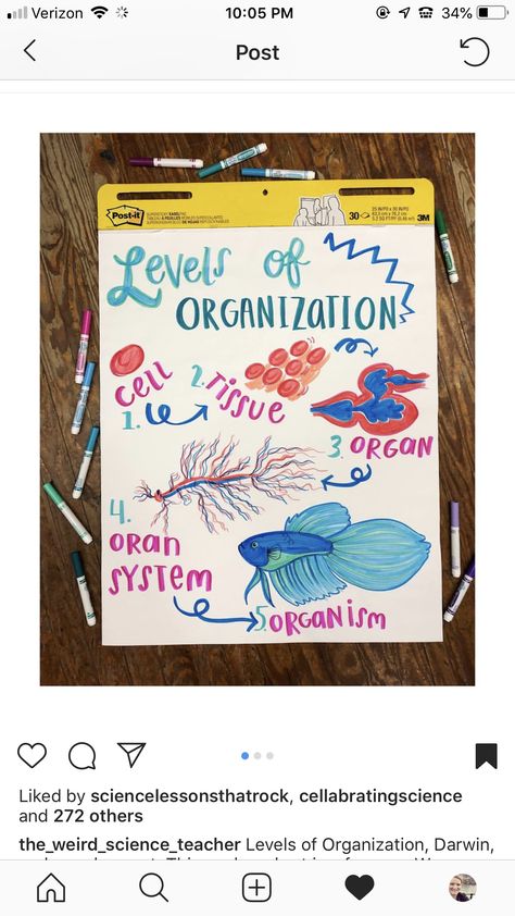 Plant And Animal Cells Anchor Chart, Biology Anchor Charts, High School Biology Classroom Decor, Biology Teacher Classroom, Classroom Management Songs, Levels Of Organization, Biology Ideas, Biology Experiments, Teaching Middle School Science