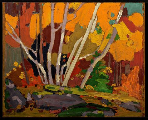 Tom Thomson Catalogue Raisonné | Autumn Birches, Fall 1916 (1916.157) | Catalogue entry Outdoorsmen Gifts, Canadian Painting, Group Of Seven Artists, Tom Thomson Paintings, Franklin Carmichael, Tom Thomson, Emily Carr, Canadian Painters, Group Of Seven