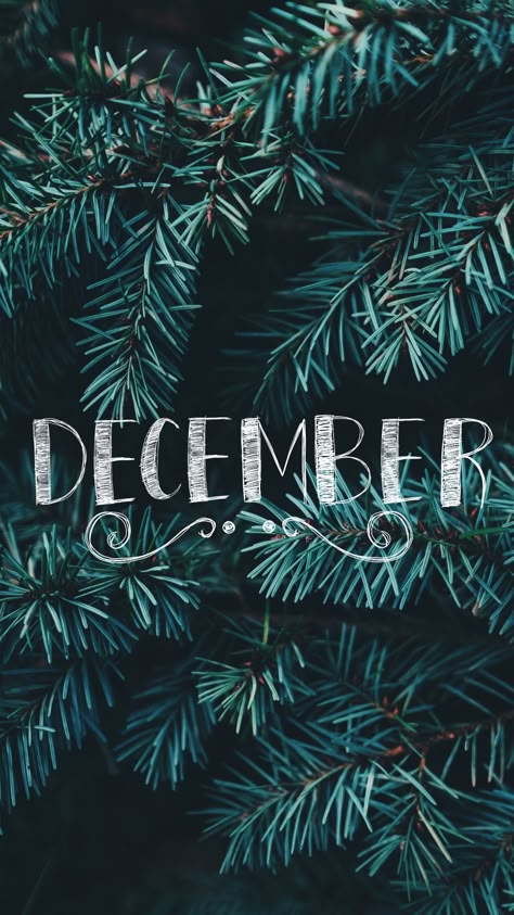 December Pictures Winter, December Asethic Wallpaper, December 1 Wallpaper, Its December, December Astethic, December Screen Saver, December Is Coming, First Of December, Hello December Wallpaper Aesthetic