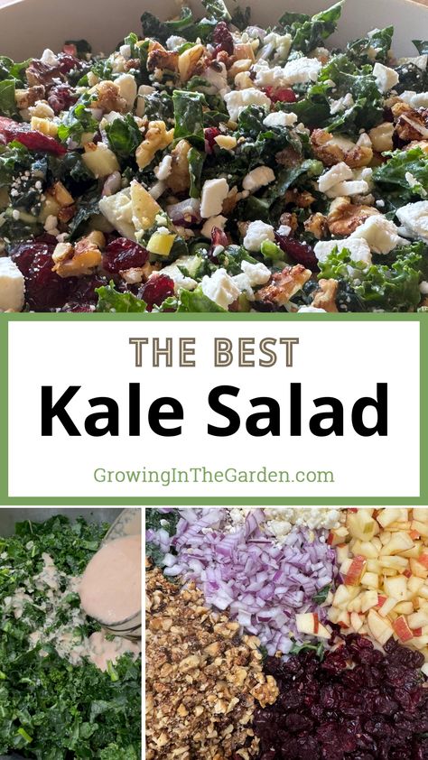 Looking for the perfect kale salad recipe? Try this crowd-pleasing version with fresh kale, sweet apples, crunchy nuts, and feta cheese. Sweet Kale Salad Recipe, Kale And Feta Salad, Kale Recipes Salad, Hearty Kale Salad, Quick Kale Salad, Kale Feta Salad, Kale Salad With Feta Cheese, Creamy Kale Salad, Best Kale Salad Recipe