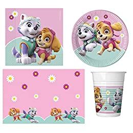 Pink Paw Patrol, Paw Patrol Everest, Paw Patrol Party Supplies, Paw Patrol Gifts, Paw Patrol Decorations, Pink Girl Birthday, Paw Patrol Skye, Everest Paw Patrol, Paw Patrol Girl