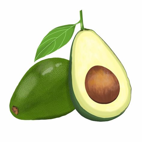 Vector avocado vector | Premium Vector #Freepik #vector Avocado Vector, Fruit Vector, Iconic Photos, Vector Photo, Premium Vector, Graphic Resources, Avocado, Vector Images, Vector Illustration