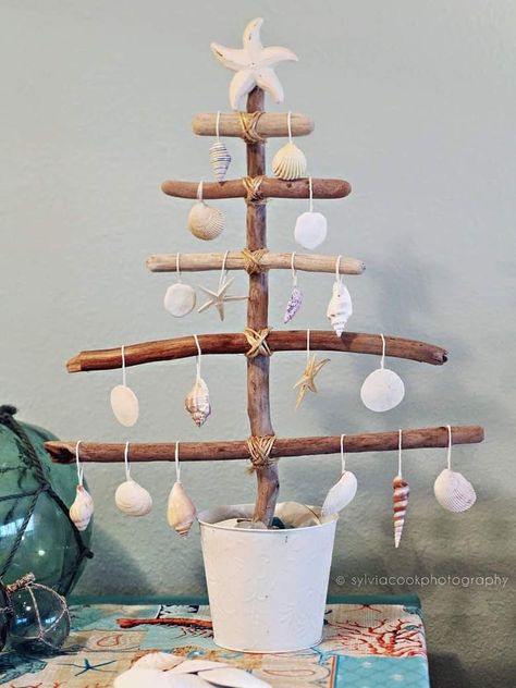 See Shells Craft, See Shells Ideas, Driftwood Trees Christmas, Driftwood Trees Diy, Christmas Crafts With Shells, Diy Coastal Christmas Ornaments, Sea Shell Christmas Ornaments Diy, Shell Ornaments Diy, Driftwood Christmas Decorations