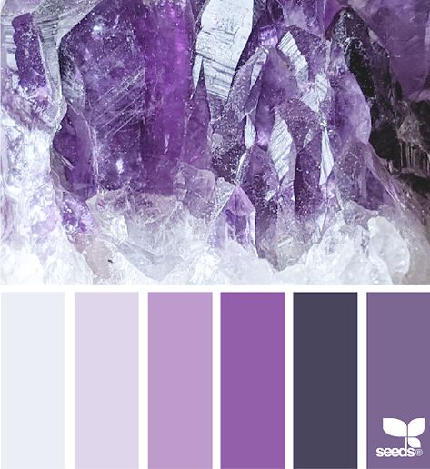 Amethyst Color Palette, Inspiration Color Palettes, Seeds Color, Purple Color Palettes, Coloring Journal, Color Schemes Colour Palettes, Hue Color, Paint Color Palettes, Design Seeds