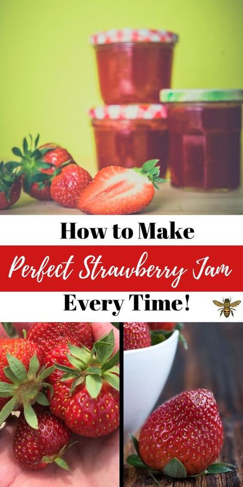 Fresh Strawberry Jam Recipes, How To Can Strawberry Jam, How To Make Strawberry Jam, Strawberry Jelly Recipe Canning, Strawberry Jam Recipe Canning, Strawberry Preserves Recipe, Canning Strawberry Jam, Strawberry Jam Recipe, Jam Recipes Homemade