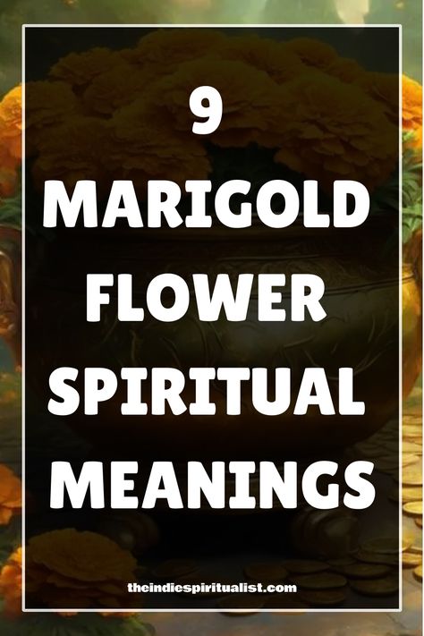 Peek into the spiritual realm with 9 marigold meanings, from protection to eternal love, and discover how these vibrant flowers can enrich your journey. Marigold Meaning, Color Symbolism, Spiritual Realm, Animal Symbolism, Flower Meanings, Marigold Flower, Cycle Of Life, Vibrant Flowers, Spiritual Meaning