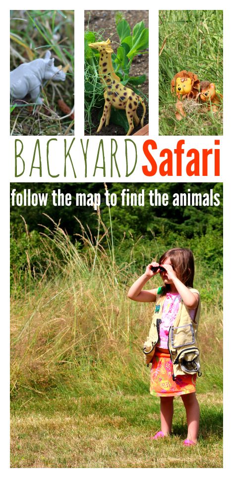 Backyard safari and map activity! Fun for Apologia Aoology 3, Apologia Land Animals for #homeschool scienee, animal lesson Summer Outdoor Games, Animal Lessons, Map Activities, Outdoor Games For Kids, Safari Party, Safari Theme, Backyard Fun, Outdoor Games, Flash Cards