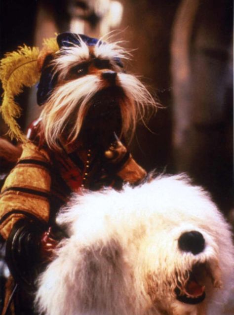 Sir Didymus and Ambrosius. The Labyrinth. Labyrinth Sir Didymus, Sir Didymus, Labyrinth Aesthetic, Through Dangers Untold, Goblin City, Jim Henson Labyrinth, Labyrinth David Bowie, Jareth The Goblin King, Babe With The Power